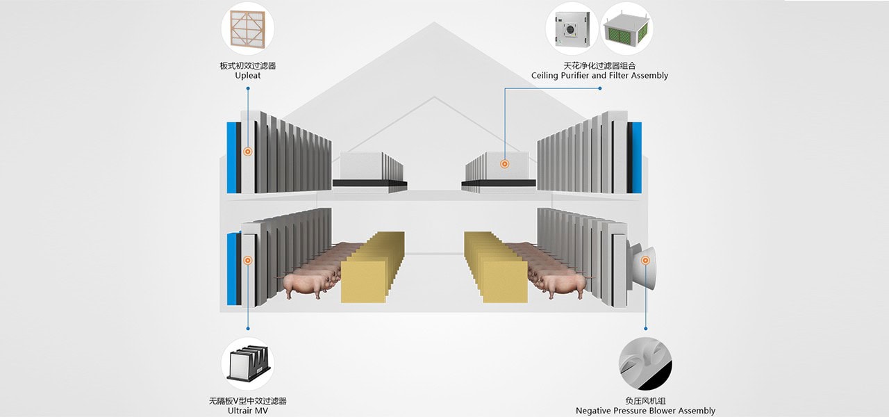 solution final 8