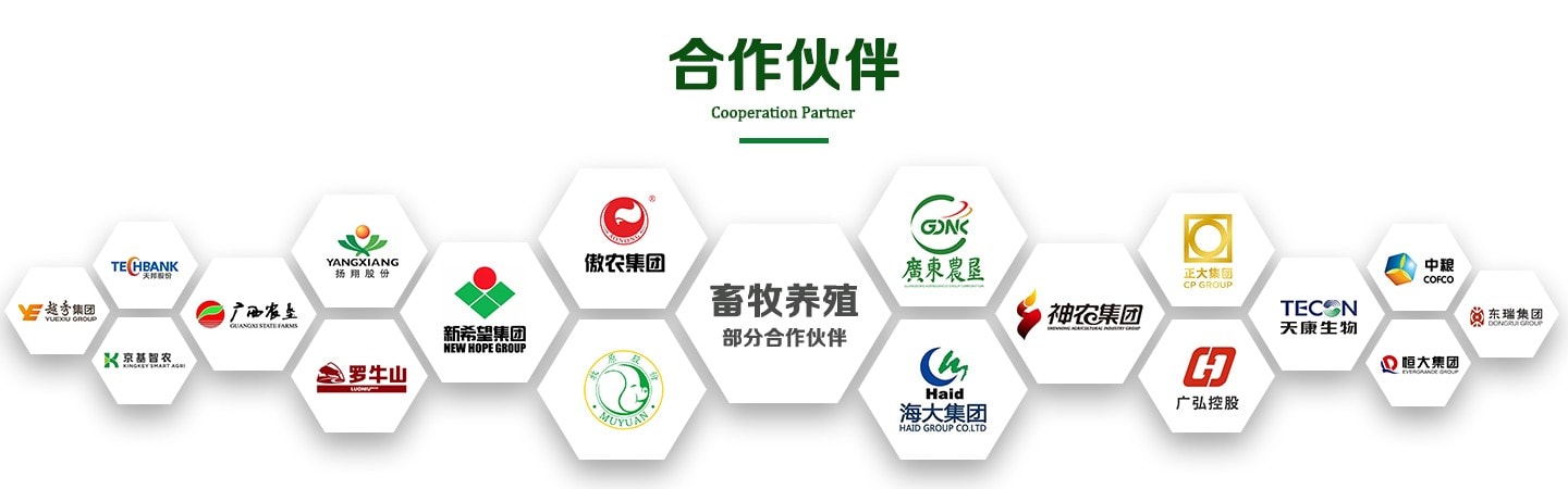 solution partner final 8