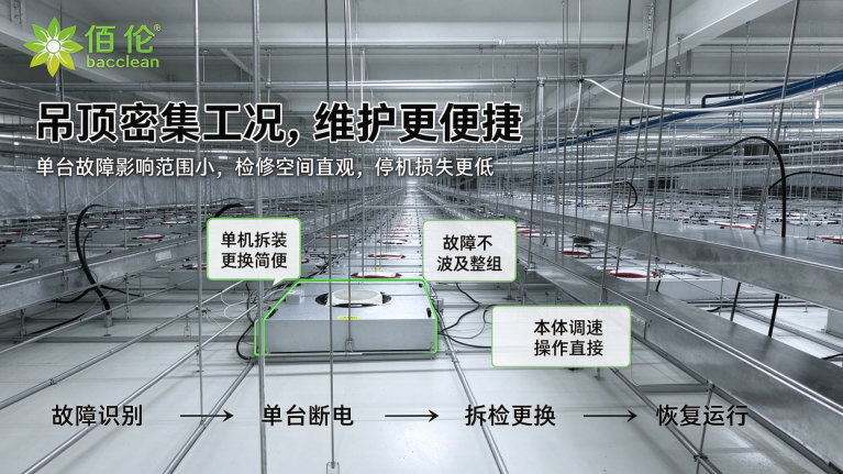 FFU吊顶密集工况与运维检修